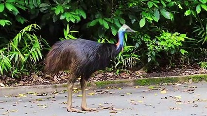 Las 10 Playas Más Peligrosas del Mundo!!