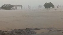 Telangana Rains: Mulugu district deeply flooded after heavy rainfall | ABP News