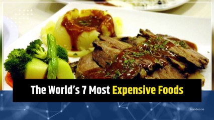 The Most Expensive Food