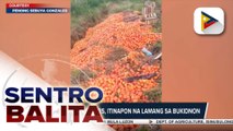 Dept. of Agriculture, isinusulong ang pagkakaroon ng cropping calendar para maiwasan ang pagkasayang ng ilang agricultural products