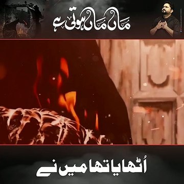 Ayyam e Fatmiyah Noha Status | Maa Maa Hoti Hai | Syed Raza Abbas Zaidi | Bibi Fatima Noha | Noha Status | Hussaini Azadari Channel