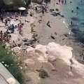 EUA. Leões-marinhos perseguem banhistas numa praia em San Diego