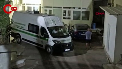 Bodrum'da tekne kazasında ünlü iş insanı Ünal Pala ve eşi yaşamını yitirdi