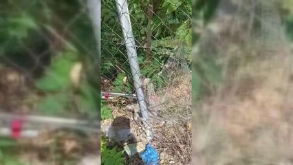 Son dakika haber! ÇANAKKALE - Tel örgüye sıkışan yılanı itfaiye kurtardı