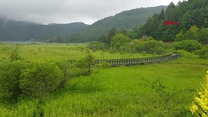 TATİLCİLERİN TERCİHİ OLAN ABANT, BU YIL YAĞMUR NEDENİYLE BOŞ KALDI