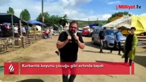 Kurbanlık koyunu çocuğu gibi sırtında taşıdı