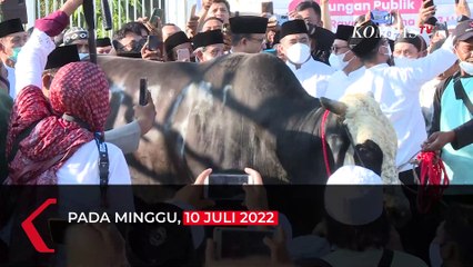 Kurban Sapi 024, Anies Diteriaki Emak-Emak: Amin, Pak Anies Presiden 2024!