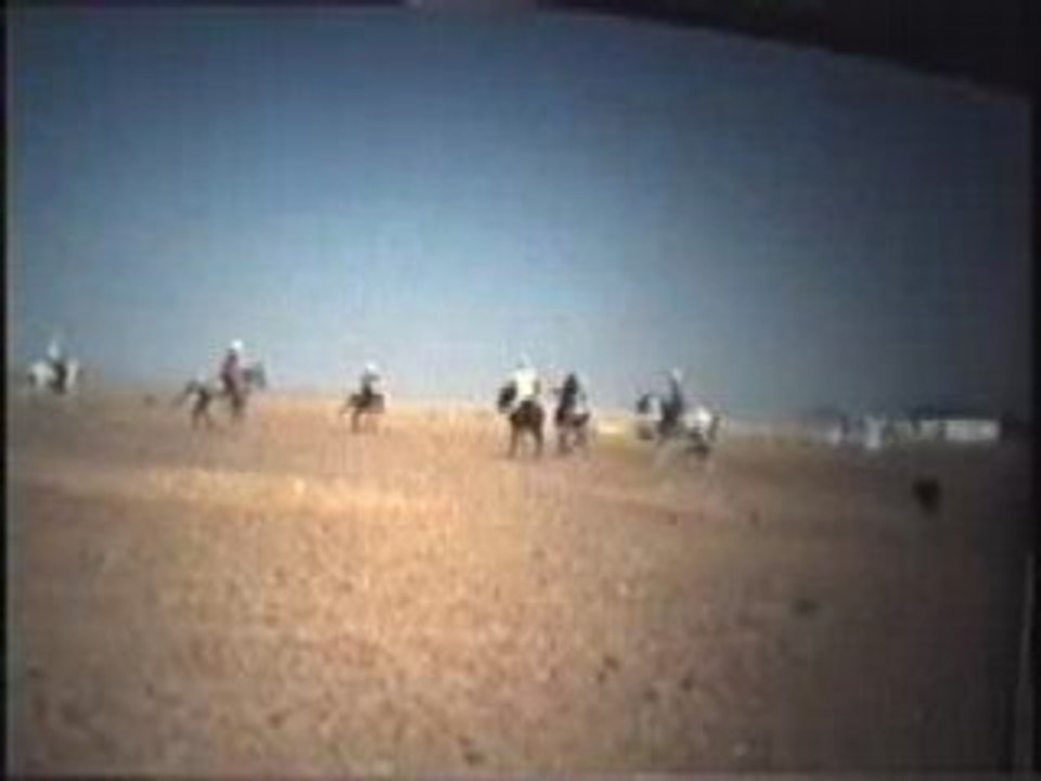 Partie de Polo