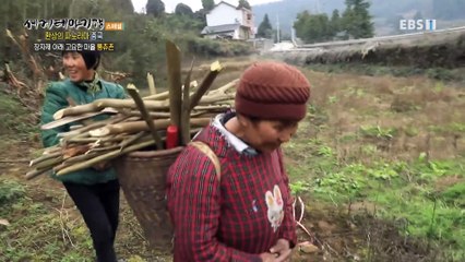 세계테마기행 - 환상의 파노라마- 천하제일비경, 황산_#003