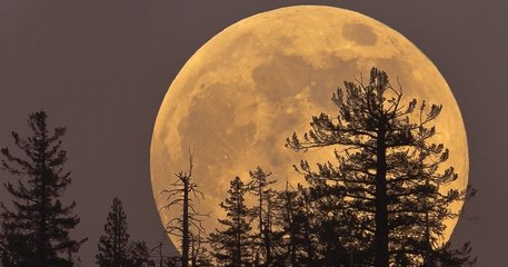 Ne ratez surtout pas la Super Lune du 13 juillet, la plus grosse de l'année