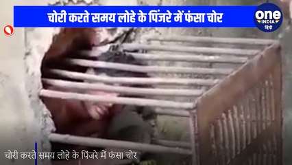 चूहों की तरह पिंजरे में कैद हुआ चोर, VIDEO में देखिए फिर क्या हुआ