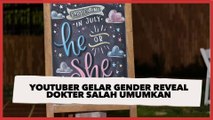Viral Youtuber Sudah Gelar Gender Reveal, Ternyata Dokter Salah Umumkan Jenis Kelamin