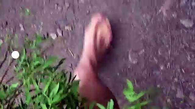 Nus et culottés - 11 juillet