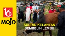 Sultan Kelantan sembelih lembu 1 tan