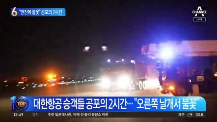 “엔진에 불꽃” 공포의 2시간…대한항공 승객들 국내 도착