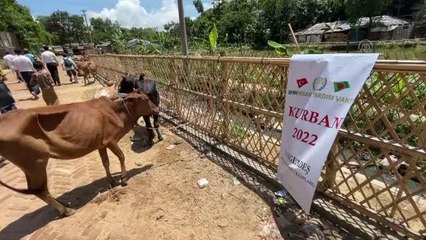 COX'S BAZAR - İHH, hayırseverlerin kurbanlarını Arakanlı Müslümanlara ulaştırdı