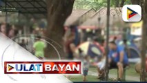 Panukalang batas para sa proteksyon ng mga kalalakihan na inaabuso ng kanilang mga misis, isinusulong sa Kamara