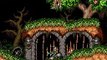 Super Ghouls'n Ghosts online multiplayer - snes