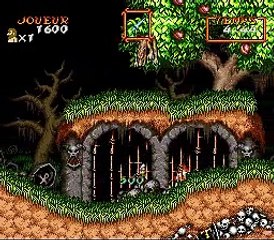 Super Ghouls'n Ghosts online multiplayer - snes