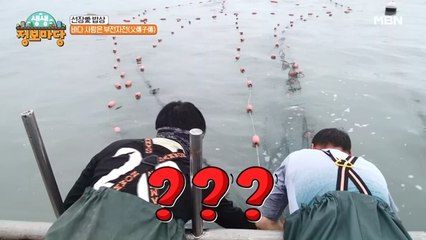부자 선장님과 아버지의 특이한 조업방식!! 미로 속에 물고기~?