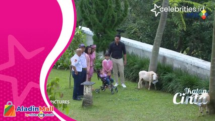 Video Trailer Ikatan Cinta, Senin 11 Juli 2022: Sal Pradipta Buat Reyna BIsa Tersenyum Kembali, Andin Bahagia
