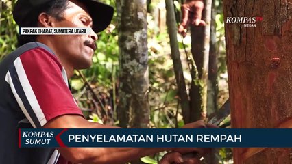 Penyelamatan Hutan Rempah di Pakpak Bharat