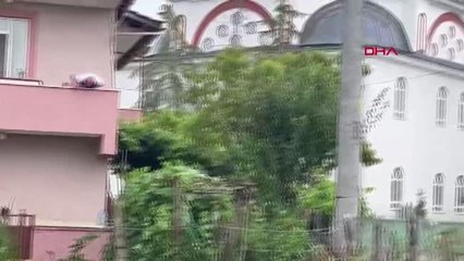 CAMİ KUBBESİNDEKİ YUVASINDAN DÜŞEN LEYLEK BARINAĞA GÖTÜRÜLDÜ