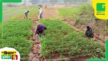 Kisan Bulletin - Mobile App के ज़रिये Kisano को मिलेंगे किराए पर Farm Machinery | Tractor और Harvester जैसे यंत्रों के लिए नहीं होगी समस्या