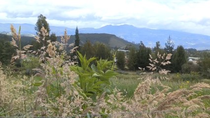 Un retorno con sabor a emprendimiento: la nueva vida de ecuatorianos que volvieron de España