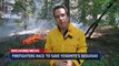 Un feu de forêt hors de contrôle dans le parc de Yosemite, en Californie menace désormais ses séquoias géants, a annoncé le parc naturel