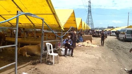 Kurban pazarlarında yoğunluk devam etti