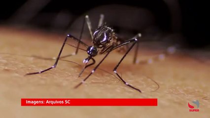 Caratinga registra um dos menores Índices de Infestação Predial por Aedes aegypti desde a implantação do LIRAa no Município