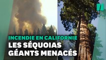 Un incendie menace les séquoias géant de Yosemite, en Californie