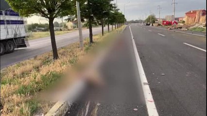 Son dakika haberi | HAFİF TİCARİ ARAÇLA SÜRÜYE ÇARPTI, 19 KOYUN ÖLDÜ