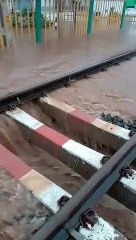 Monsoon: भारी बारिश से डभोई- चाणोद के बीच रेलवे ट्रैक क्षतिग्रस्त