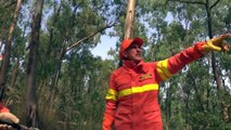 Incendi in Sicilia, in viaggio sul fronte del fuoco insieme alla forestale: il reportage