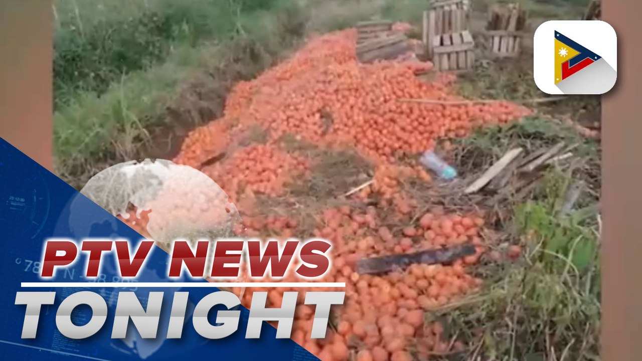 Hundreds of kilos of tomatoes dumped in Bukidnon