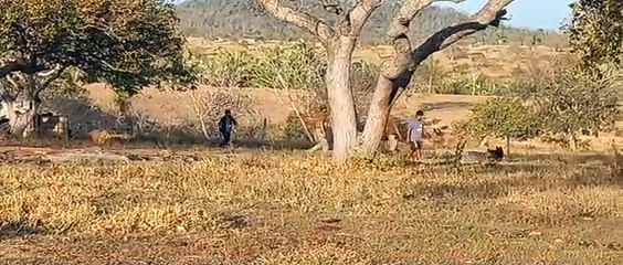 Allanan hacienda Las Piedras vinculada a Misael Nallar