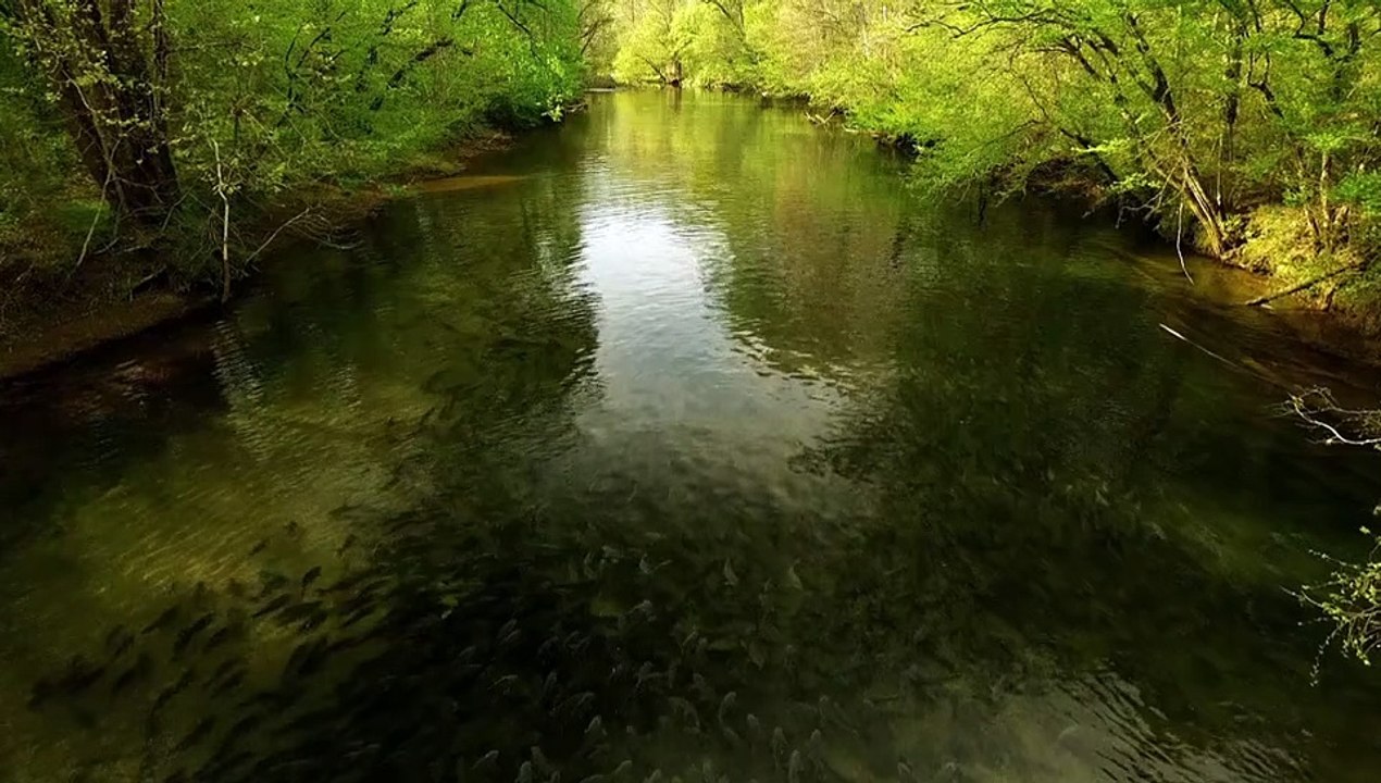 Die größten Flüsse der Erde Staffel 1 Folge 3 HD Deutsch