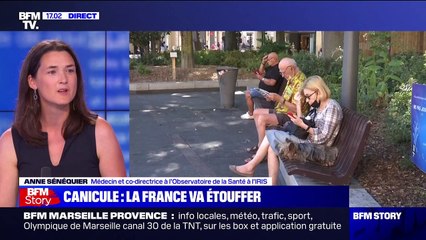 Canicule: pour la Dr Anne Sénéquier, "il faut végétaliser les toits"