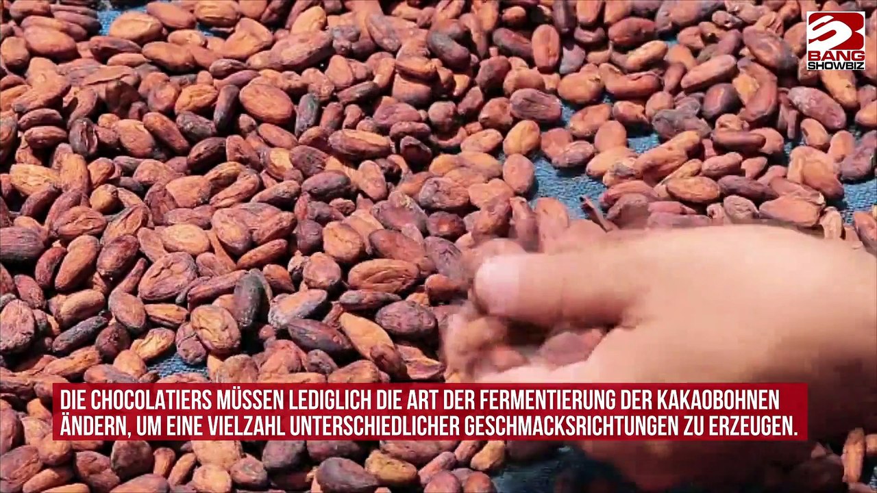 Schokolade bald wie Wein genießen