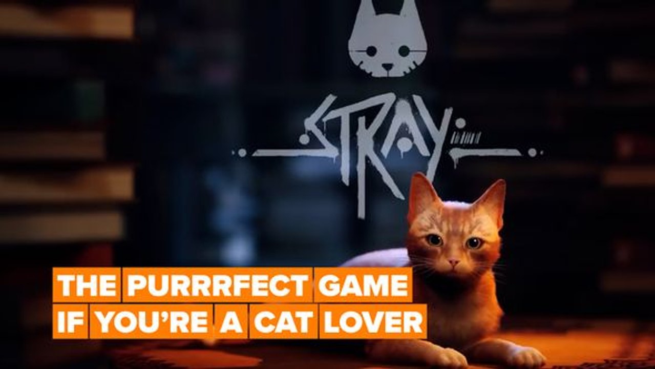 Stray is the purrrfect game