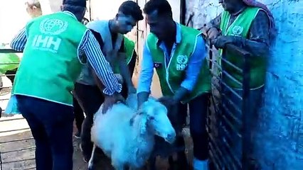 İHH 2.6 milyon kişiye kurban eti ulaştırdı