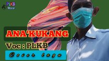 ANA'KUKANG | Lagu bugis makassar | Cover lagu (lirik video) PLKB