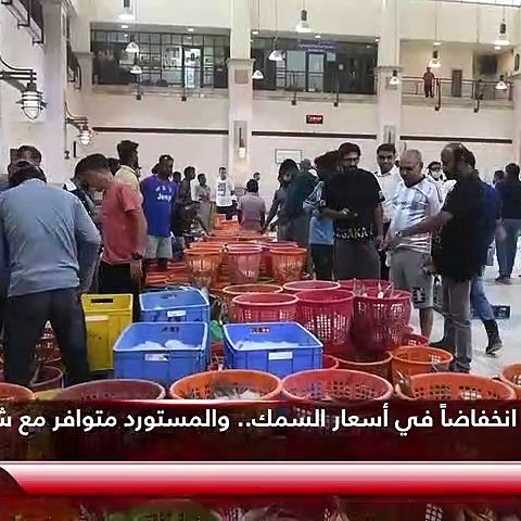 %25 انخفاضاً في أسعار السمك.. والمستورد متوافر مع شح المحلي