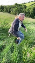 Cooper the Great Dane Wants Dad's Jacket