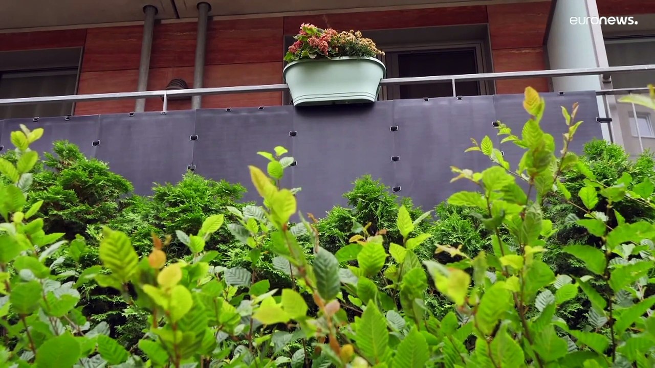 Solarstrom vom Balkon: Ukrainerin kämpft für Unabhängigkeit von russischem Gas