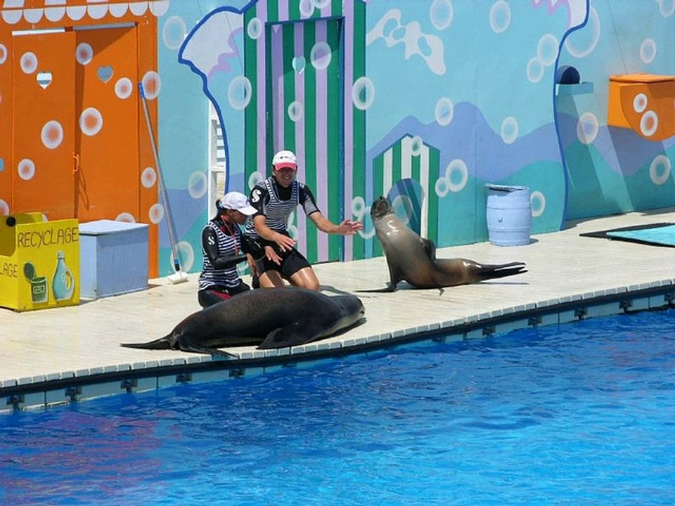 France (Marineland_3)