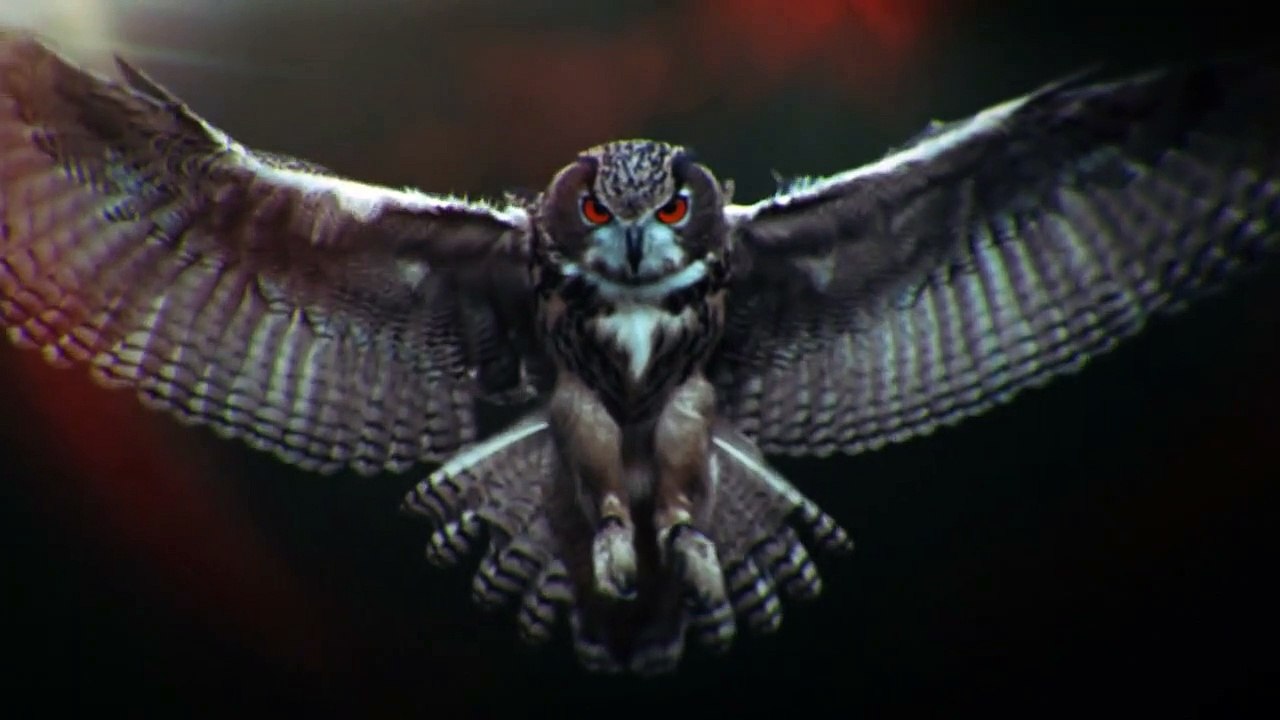 100 Code Staffel 1 Folge 1 HD Deutsch