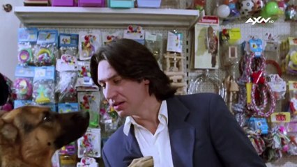 Kommissar Rex Staffel 1 Folge 2 HD Deutsch